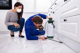 Best Pest Control for Multi-Family Homes  in Palm Valley, FL